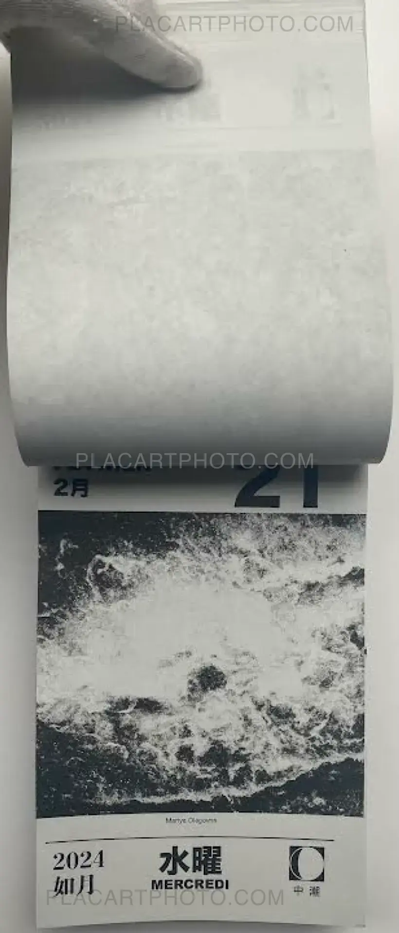 HIKARI 2024 (Edt of 50)