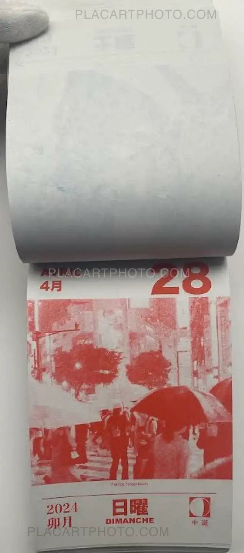 HIKARI 2024 (Edt of 50)