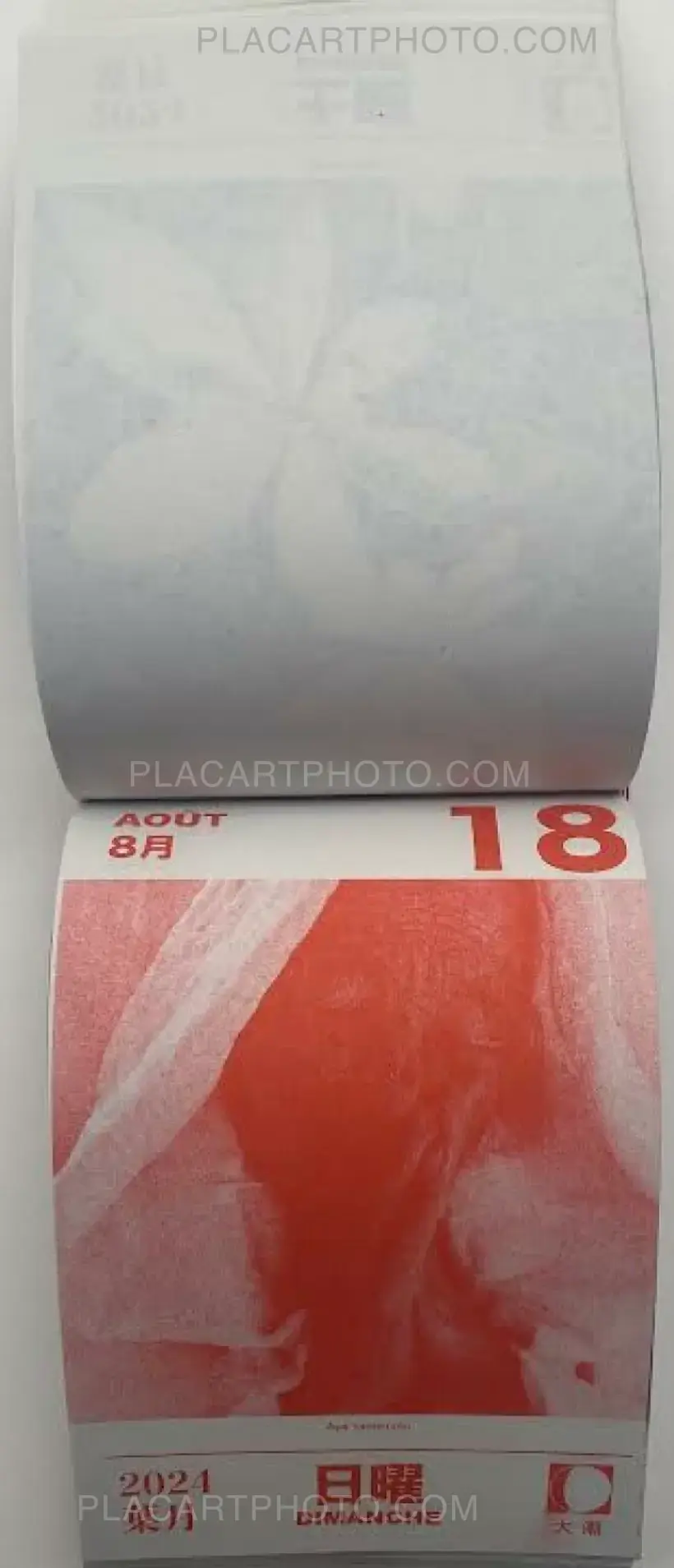 HIKARI 2024 (Edt of 50)