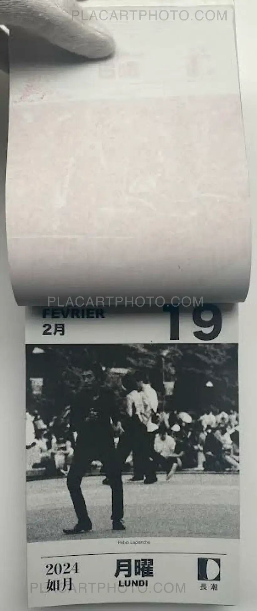 HIKARI 2024 (Edt of 50)