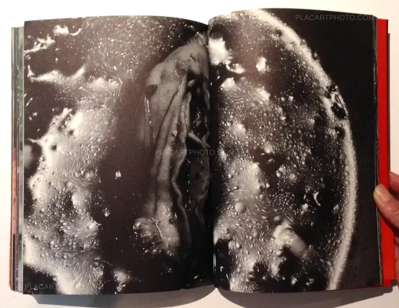 The Banquet (With obi)