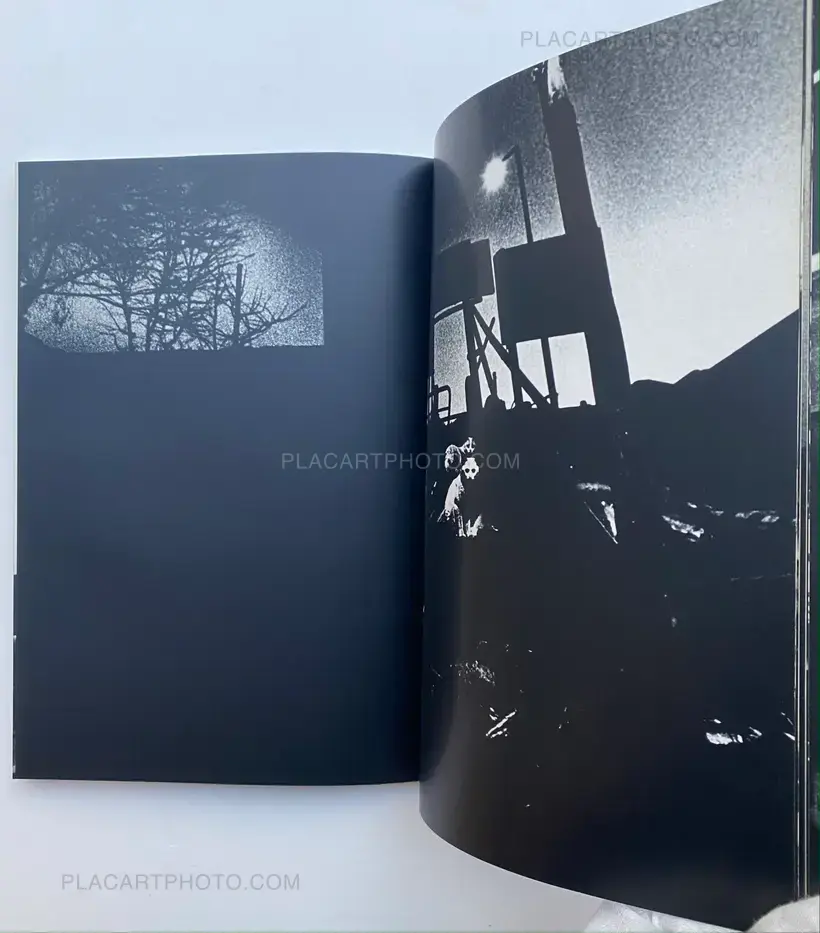 For a language to come