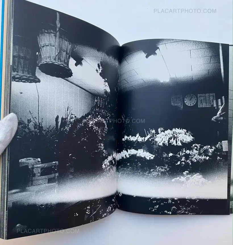 For a language to come