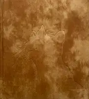 Afterword (Second edition)