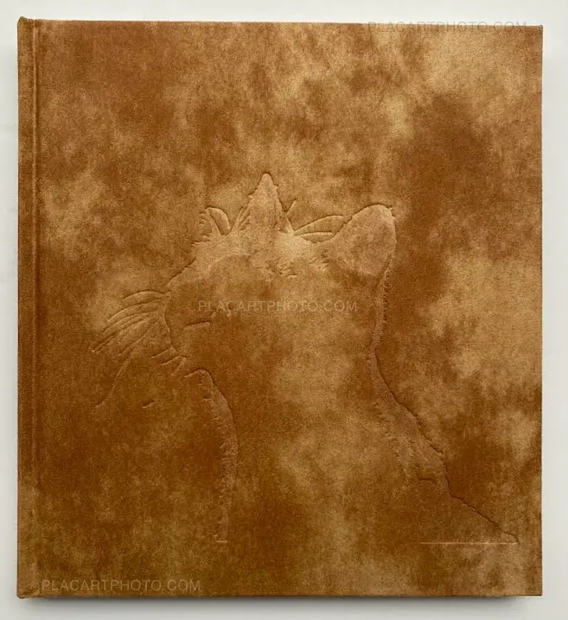 Afterword (Second edition)