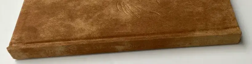 Afterword (Second edition)