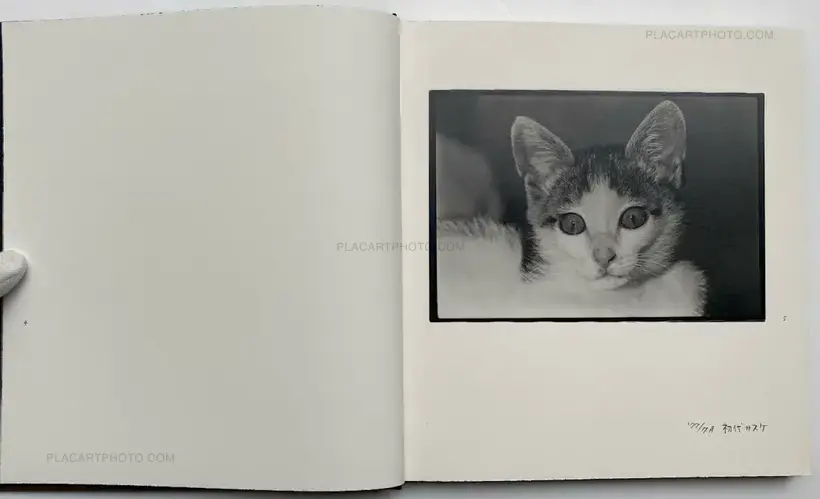 Afterword (Second edition)