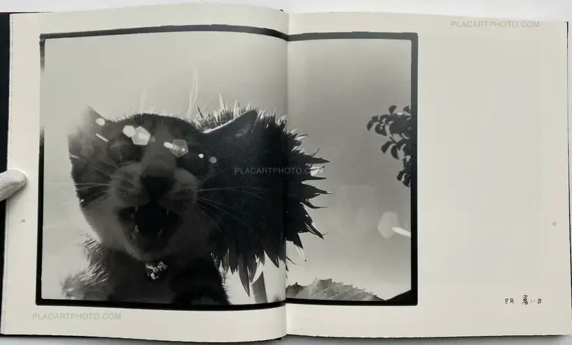 Afterword (Second edition)