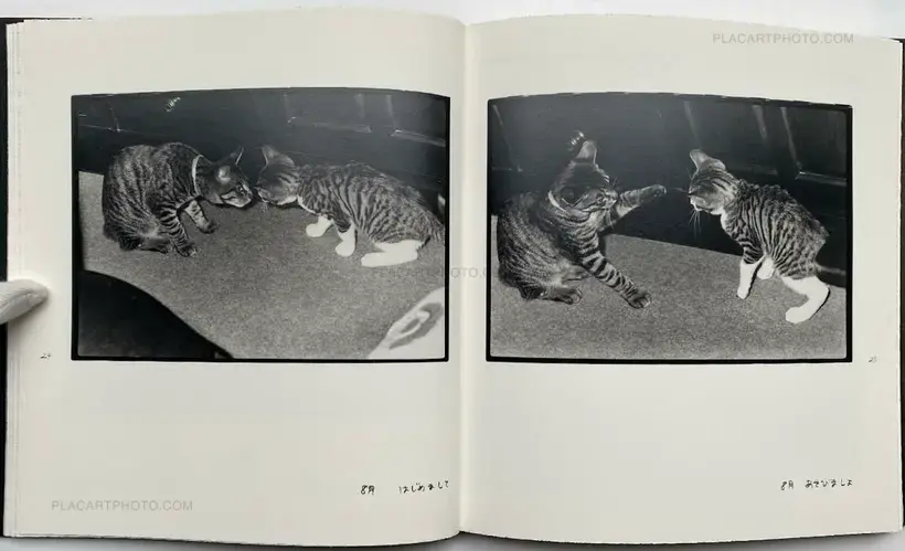 Afterword (Second edition)