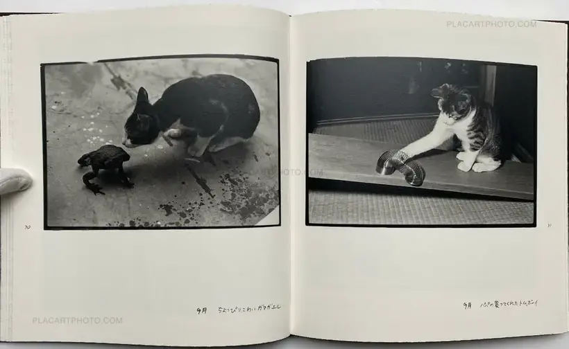 Afterword (Second edition)