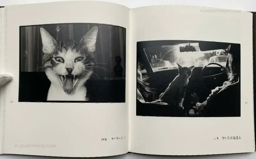 Afterword (Second edition)