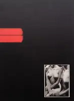 Nuogo Kūno teorija (The theory of a naked body)