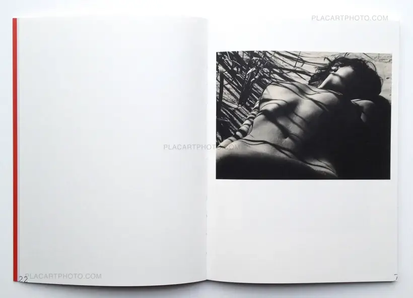 Nuogo Kūno teorija (The theory of a naked body)