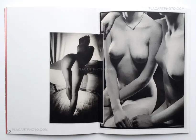 Nuogo Kūno teorija (The theory of a naked body)