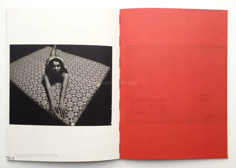 Nuogo Kūno teorija (The theory of a naked body)