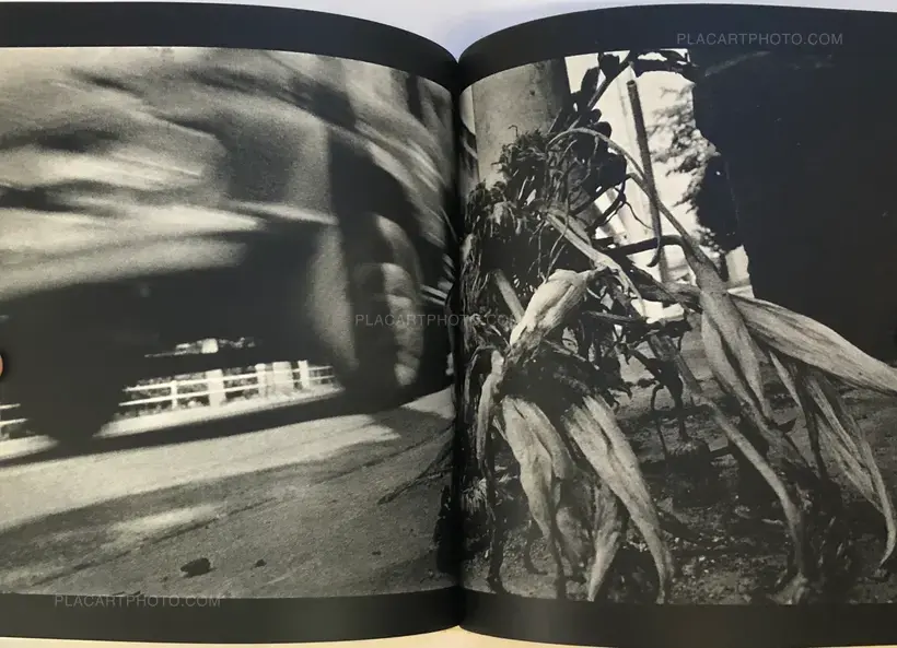 Shinkawa Tsuguhi Shashinshu