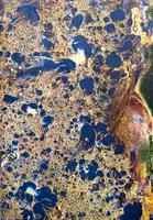 Matter (Cover A) (Signed, Unique edition)