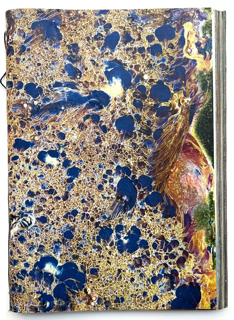 Matter (Cover A) (Signed, Unique edition)