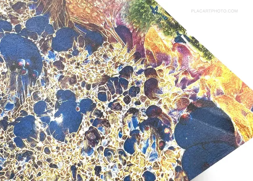 Matter (Cover A) (Signed, Unique edition)