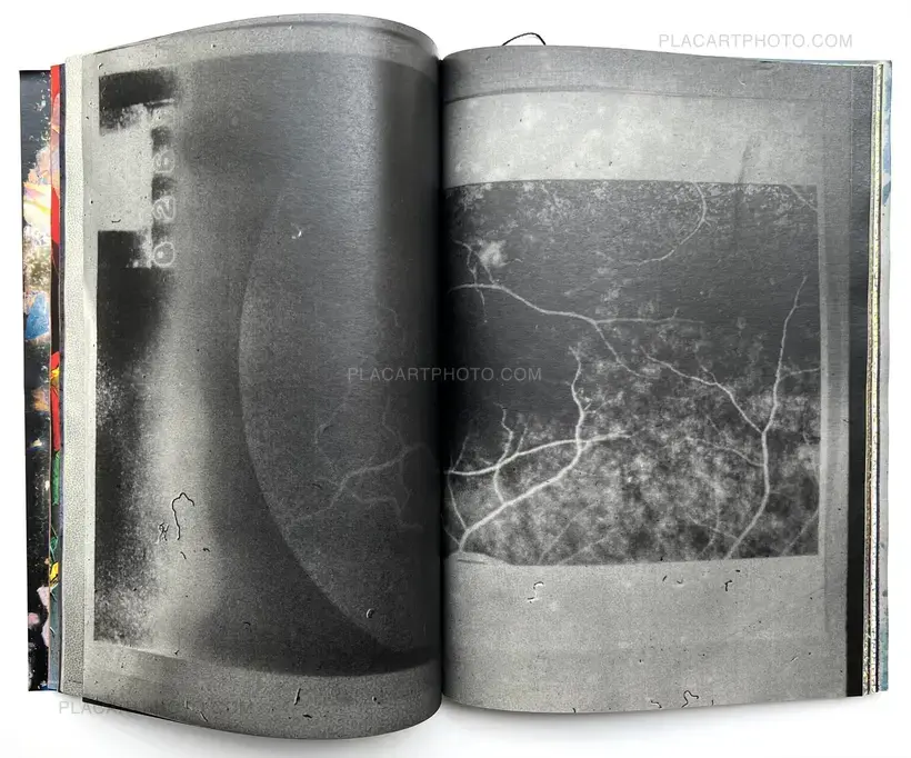 Matter (Cover A) (Signed, Unique edition)