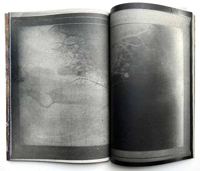 Matter (Cover B) (Signed, Unique edition)