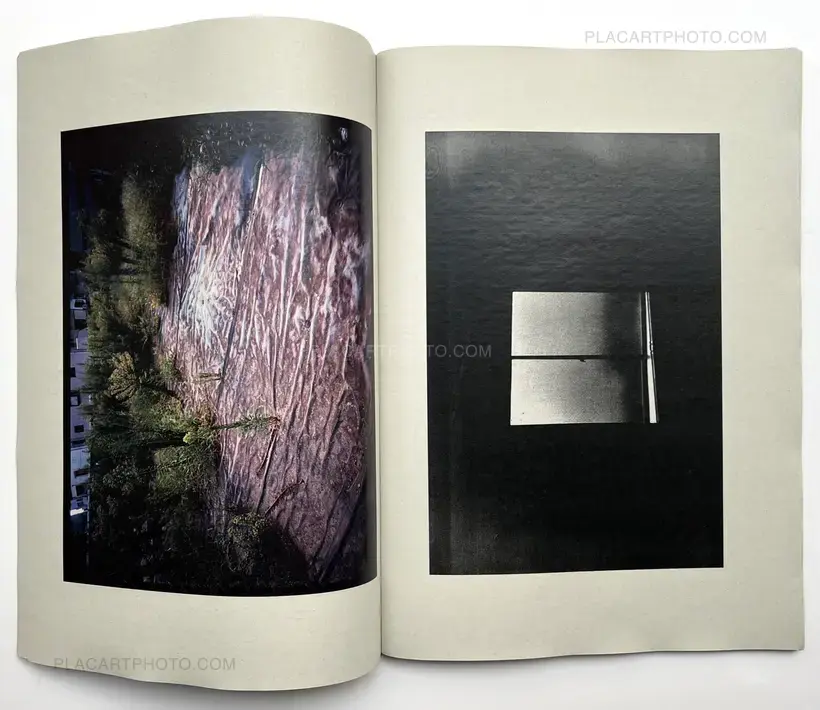 Room / Untitled (Signed)