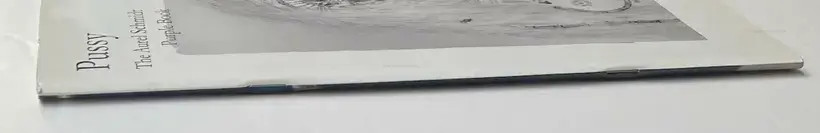 Pussy The Aurel Schmidt Purple Book