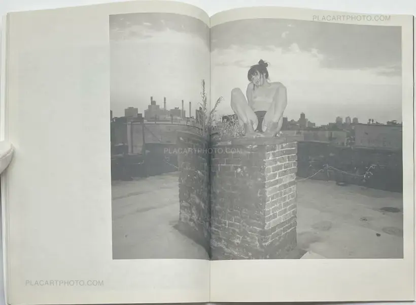 Pussy The Aurel Schmidt Purple Book