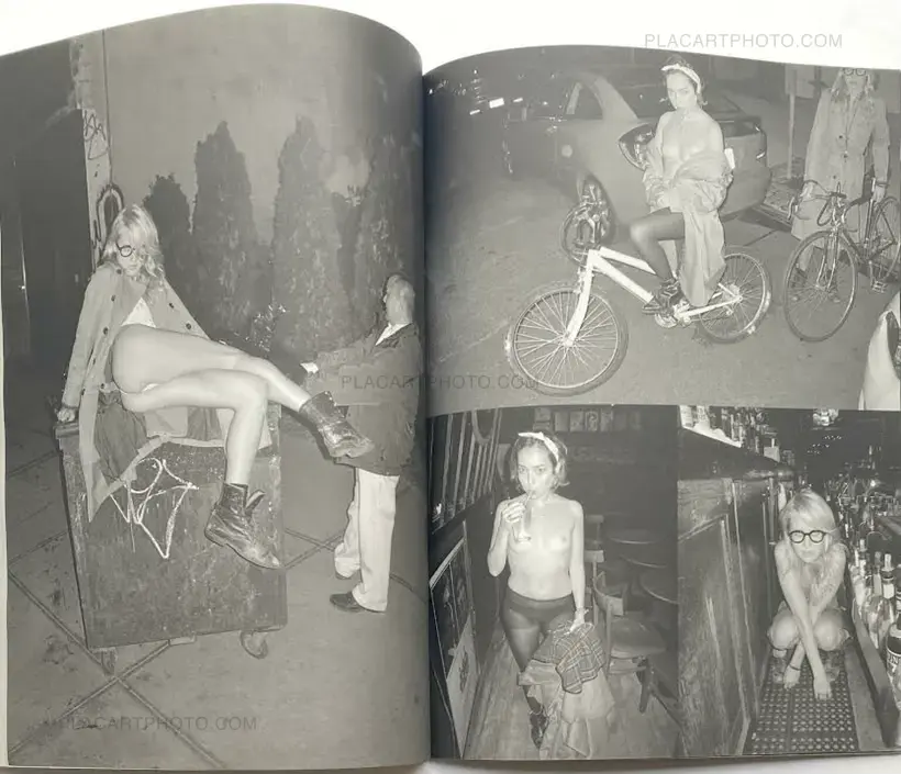 Pussy The Aurel Schmidt Purple Book