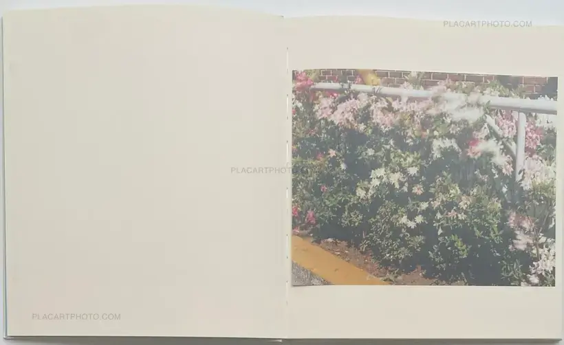 Life goes on (Numbered)