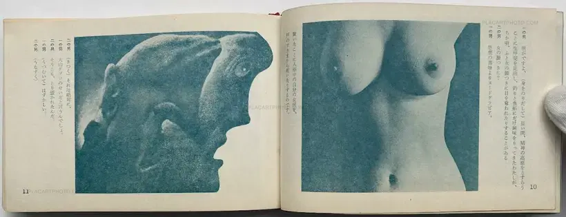 Now, Look at This! Stage Photographs of Tenjo Sajiki Theatrical Company / Saasaa otachiai: Tenjo sajiki shijo koen