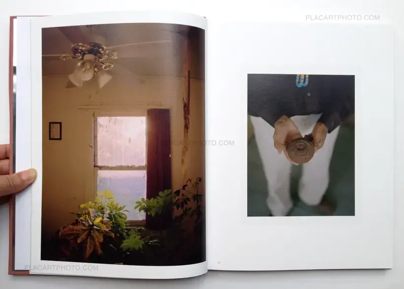 PHENOMENA (Signed by all authors)