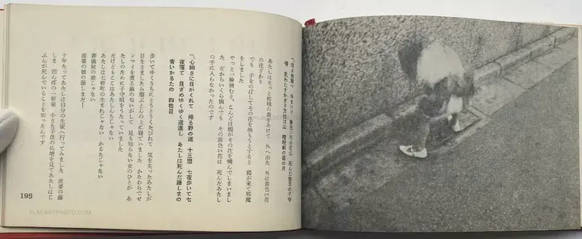 Now, Look at This! Stage Photographs of Tenjo Sajiki Theatrical Company / Saasaa otachiai: Tenjo sajiki shijo koen