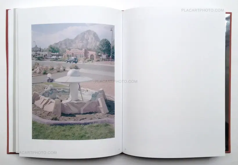 PHENOMENA (Signed by all authors)