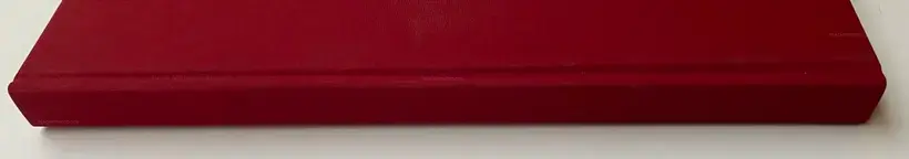 My Grandma Was A Turtle