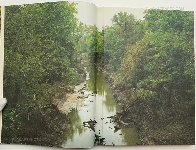 My Grandma Was A Turtle