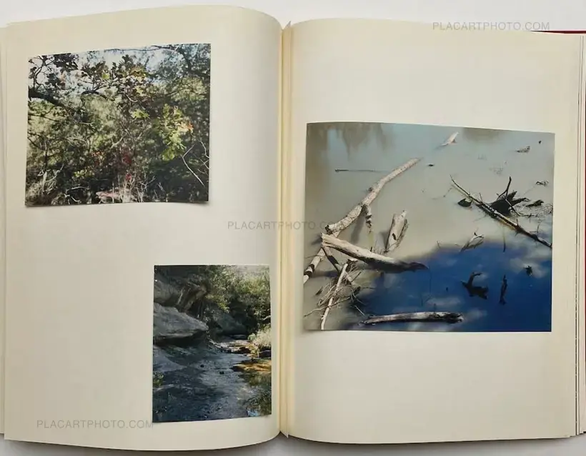 My Grandma Was A Turtle