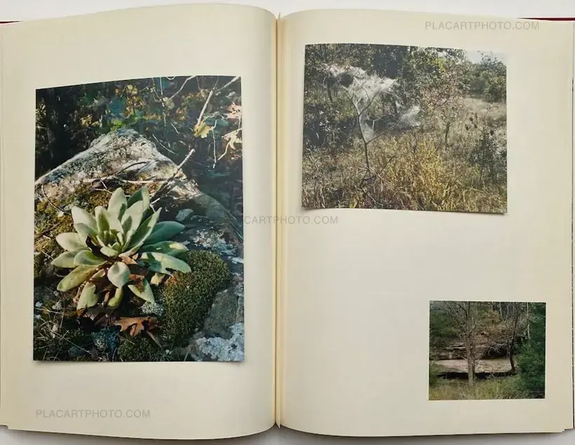 My Grandma Was A Turtle