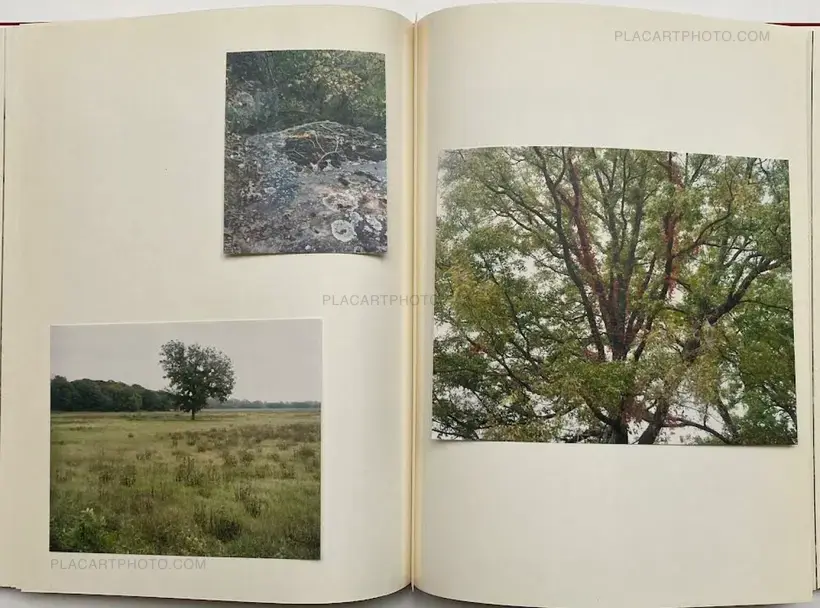 My Grandma Was A Turtle