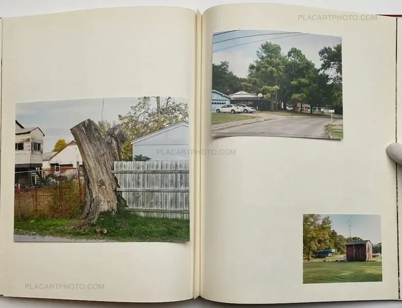 My Grandma Was A Turtle