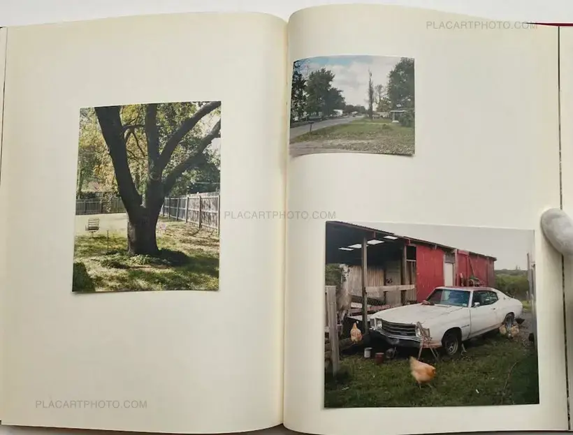 My Grandma Was A Turtle