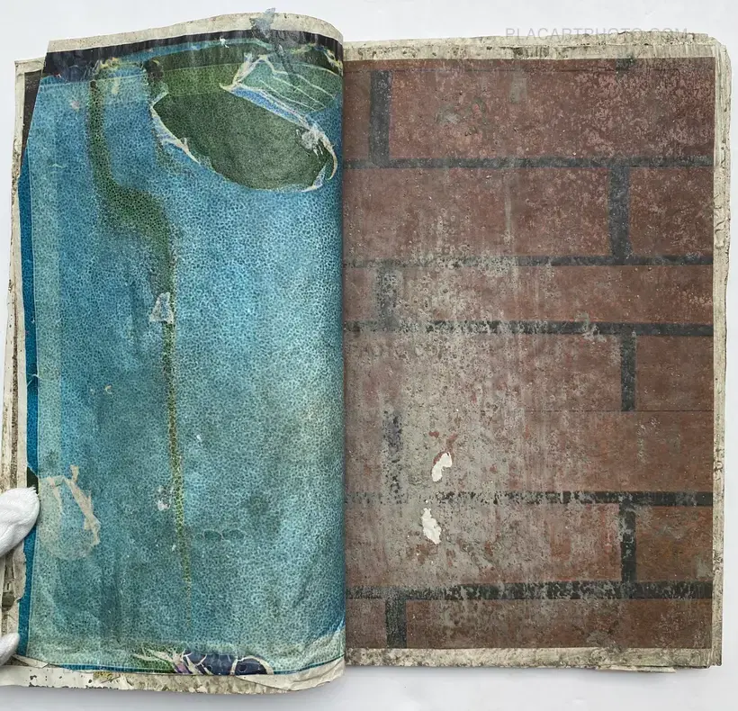 Effect Twin (ONLY 75 COPIES)