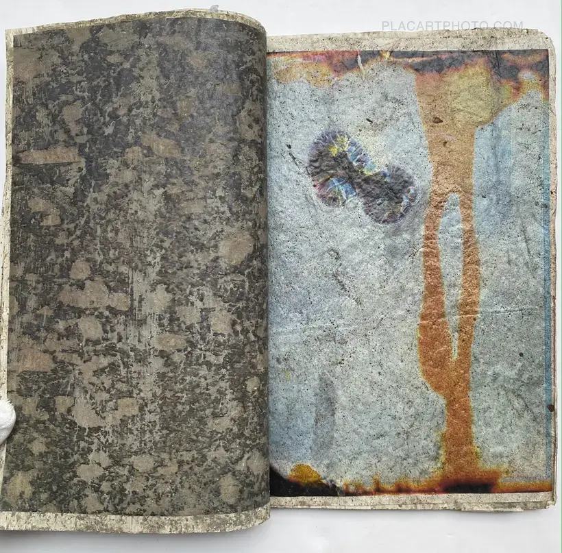 Effect Twin (ONLY 75 COPIES)