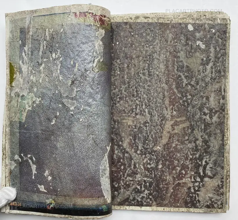 Effect Twin (ONLY 75 COPIES)