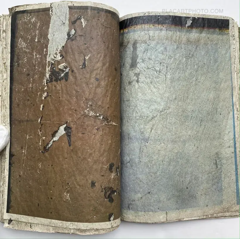 Effect Twin (ONLY 75 COPIES)