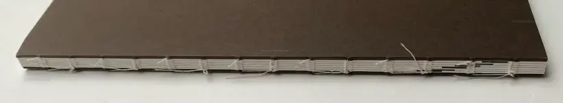 Hollow (Signed and numbered with a signed print)