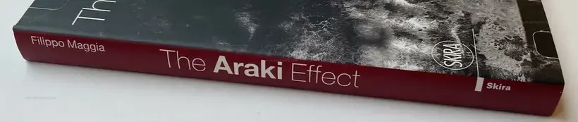 The Araki Effect