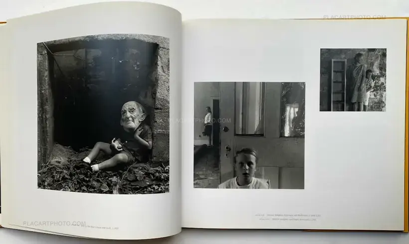 The Family Album Of Lucybelle Crater And Other Figurative Photographs