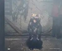 Notes for an Epilogue