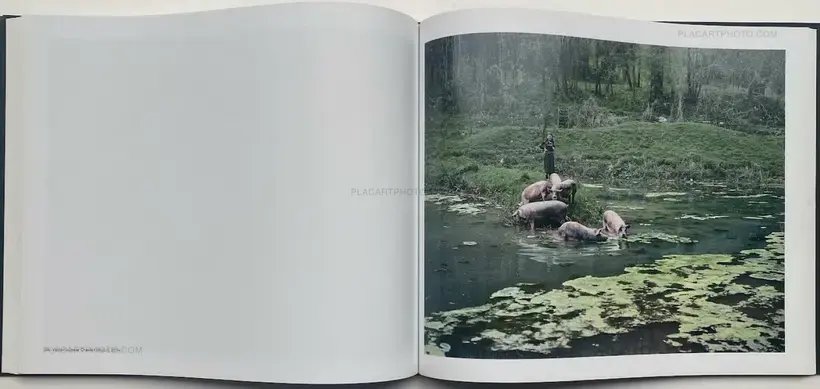 Notes for an Epilogue